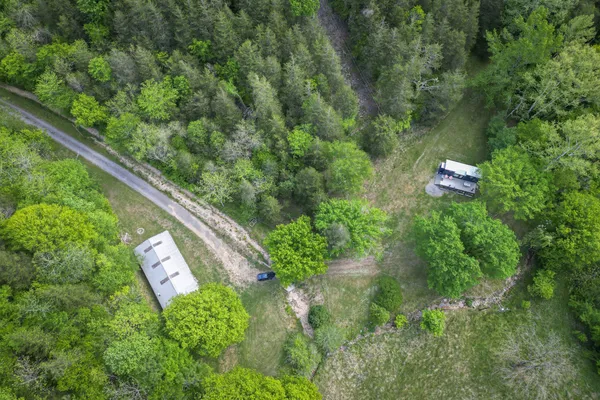 a view of a lush green forest with lots of trees