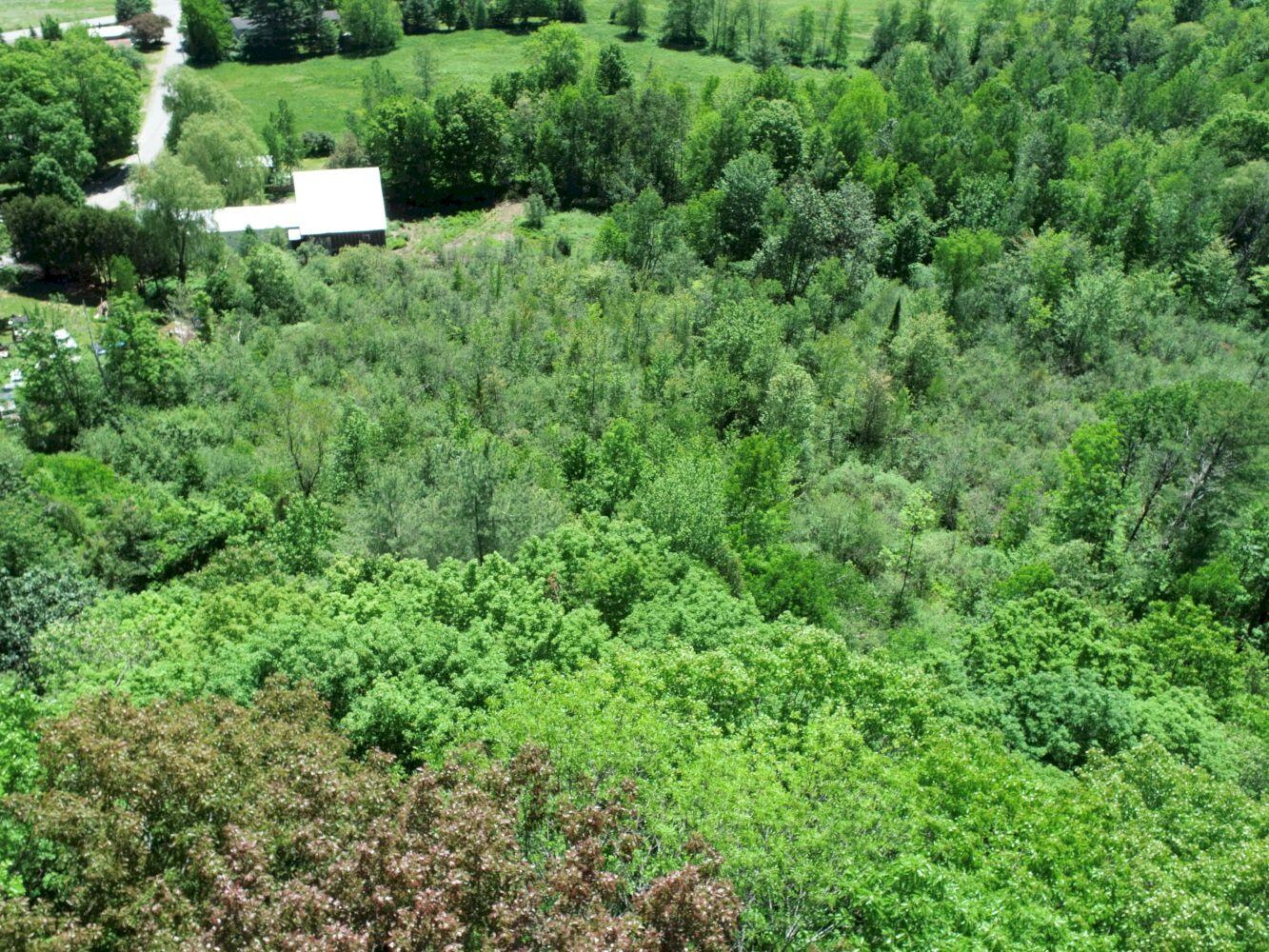 28 Nichols Hill Road Bingham, ME 04920 - Photo 76 of 78 DJI_0041