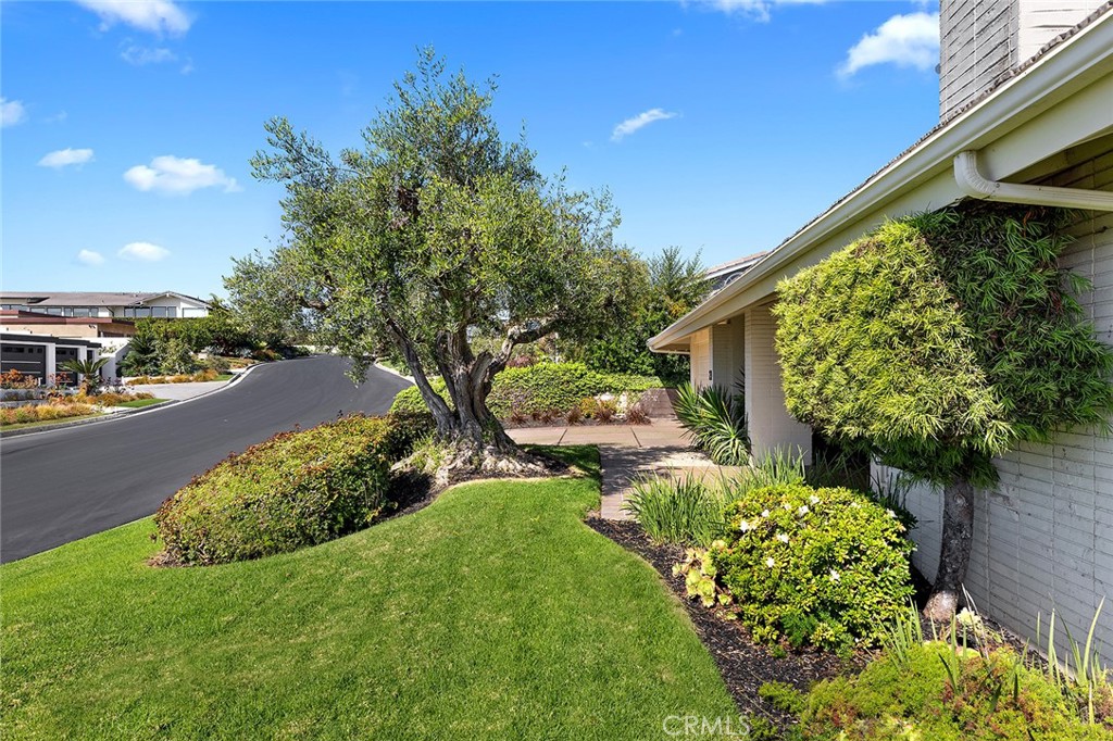 23 Monarch Bay Drive Dana Point, CA 92629 - Photo 6 of 45 a view of backyard with plants and outdoor seating
