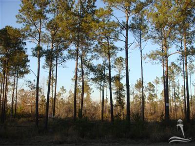 72 Gilbert Road Southeast Bolivia, NC 28422 - Photo 2 of 4 Additional Photo