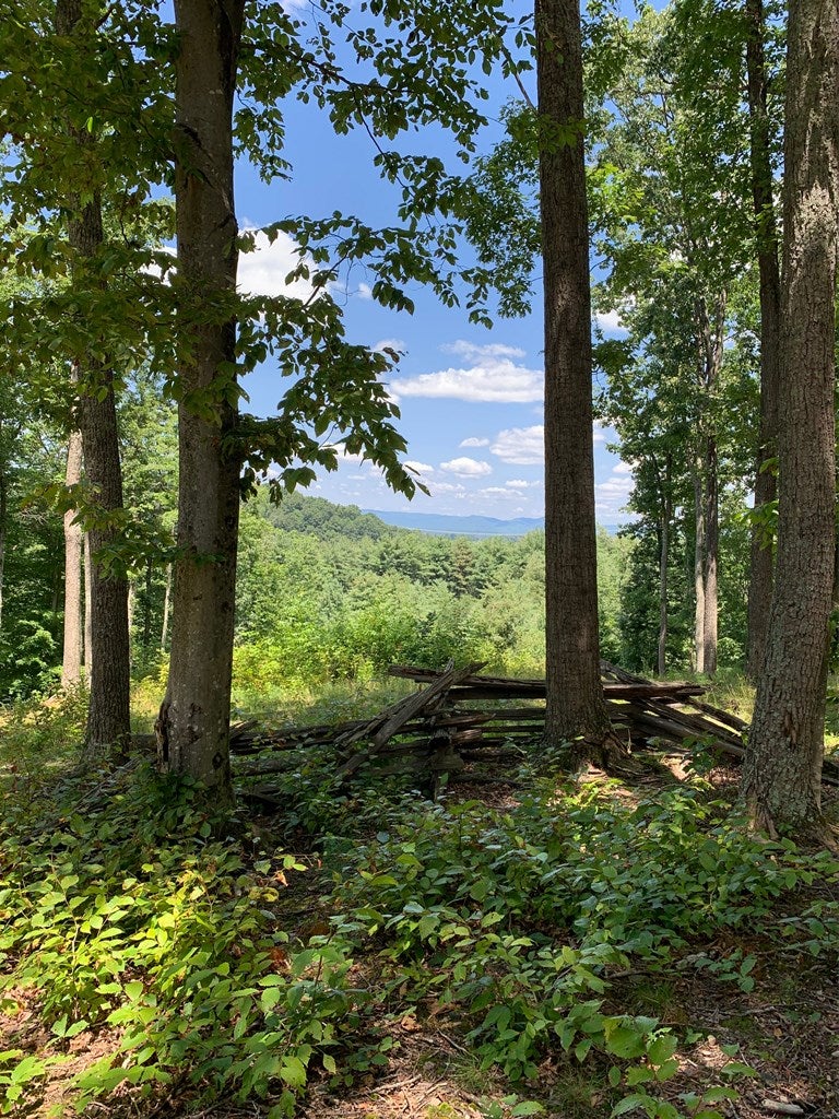 Tbd Huckleberry Road Crockett, VA 24323 - Photo 2 of 14 Gallery Image 2