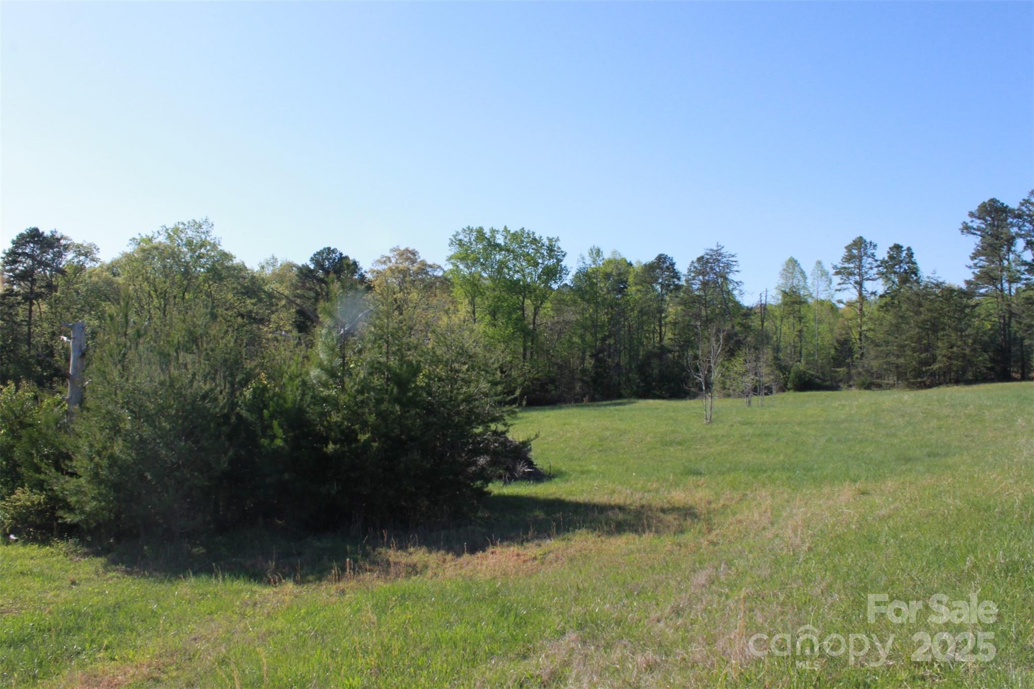 415 Right Prong Road Ellenboro, NC 28040 - Photo 18 of 47 Gallery Image 18
