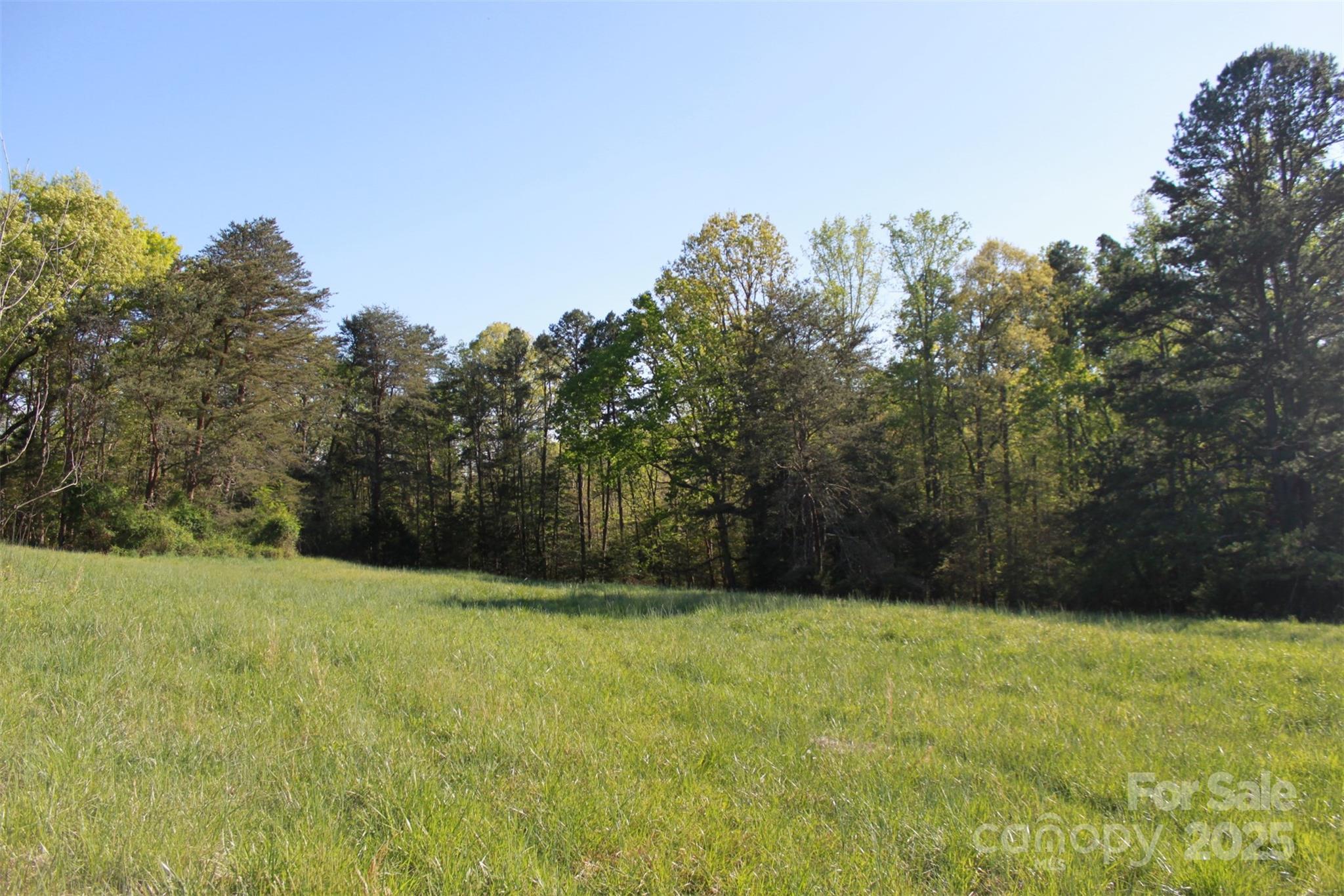 415 Right Prong Road Ellenboro, NC 28040 - Photo 20 of 47 Gallery Image 20