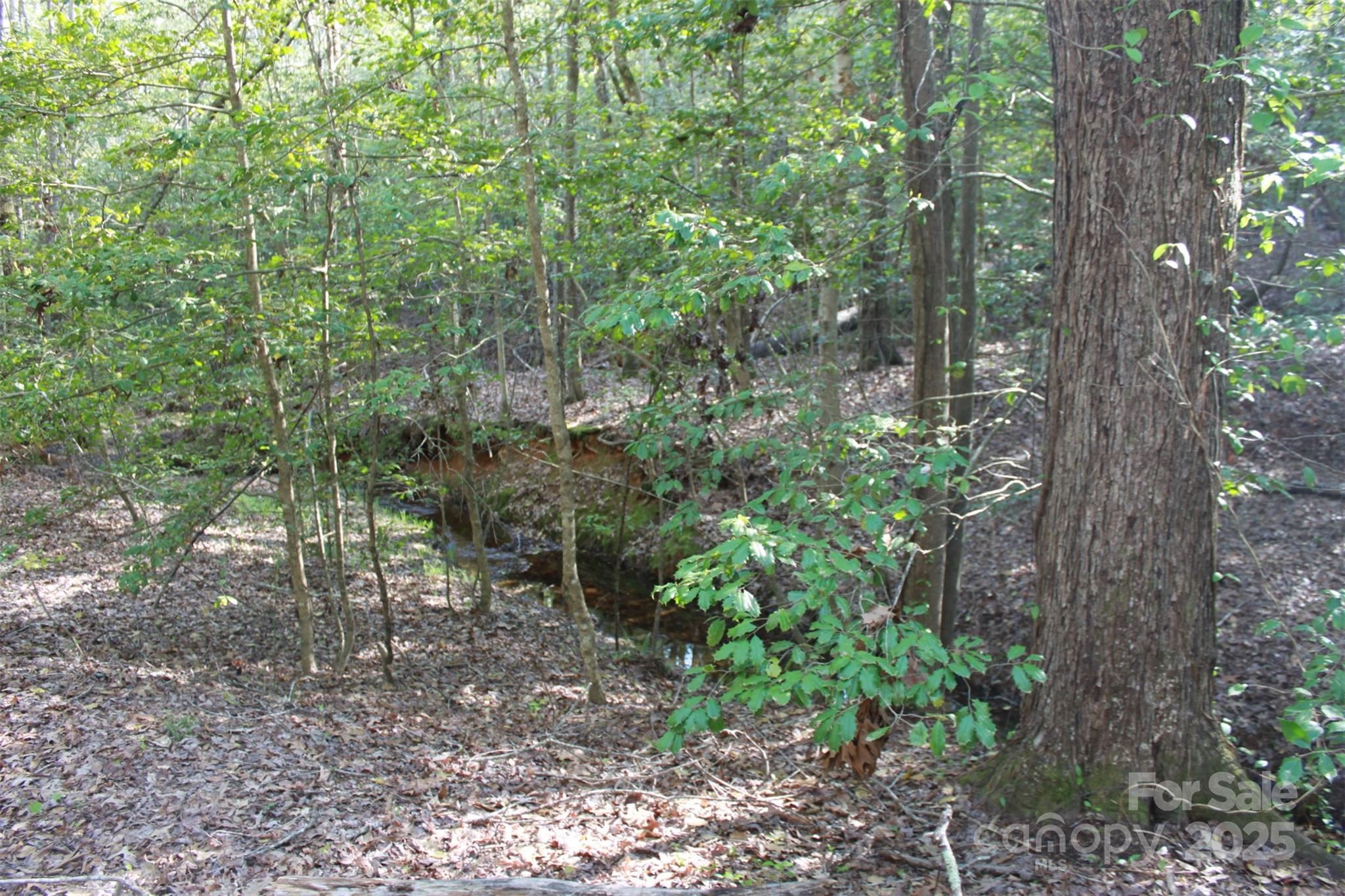 415 Right Prong Road Ellenboro, NC 28040 - Photo 23 of 47 Gallery Image 23