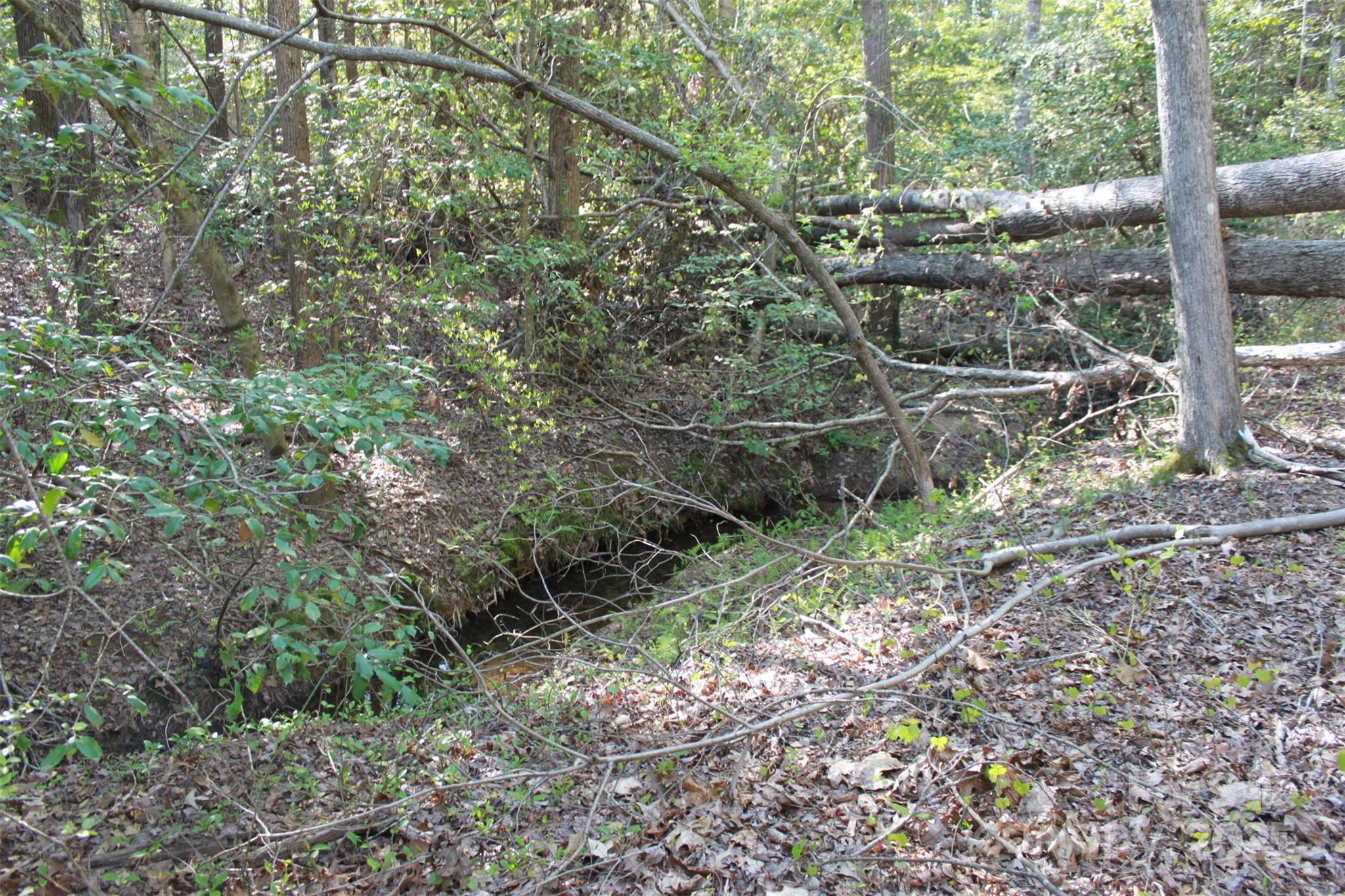 415 Right Prong Road Ellenboro, NC 28040 - Photo 24 of 47 Gallery Image 24