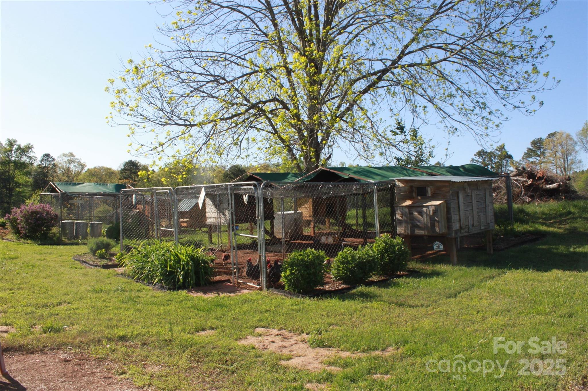 415 Right Prong Road Ellenboro, NC 28040 - Photo 10 of 47 Gallery Image 10