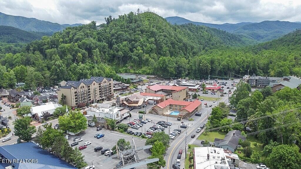 685 River Road, Unit 302 Gatlinburg, TN 37738 - Photo 27 of 32 Gallery Image 27