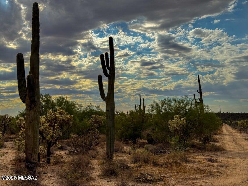0 North Hohokam Road Florence, AZ 85132 - Photo 14 of 24 Gallery Image 14
