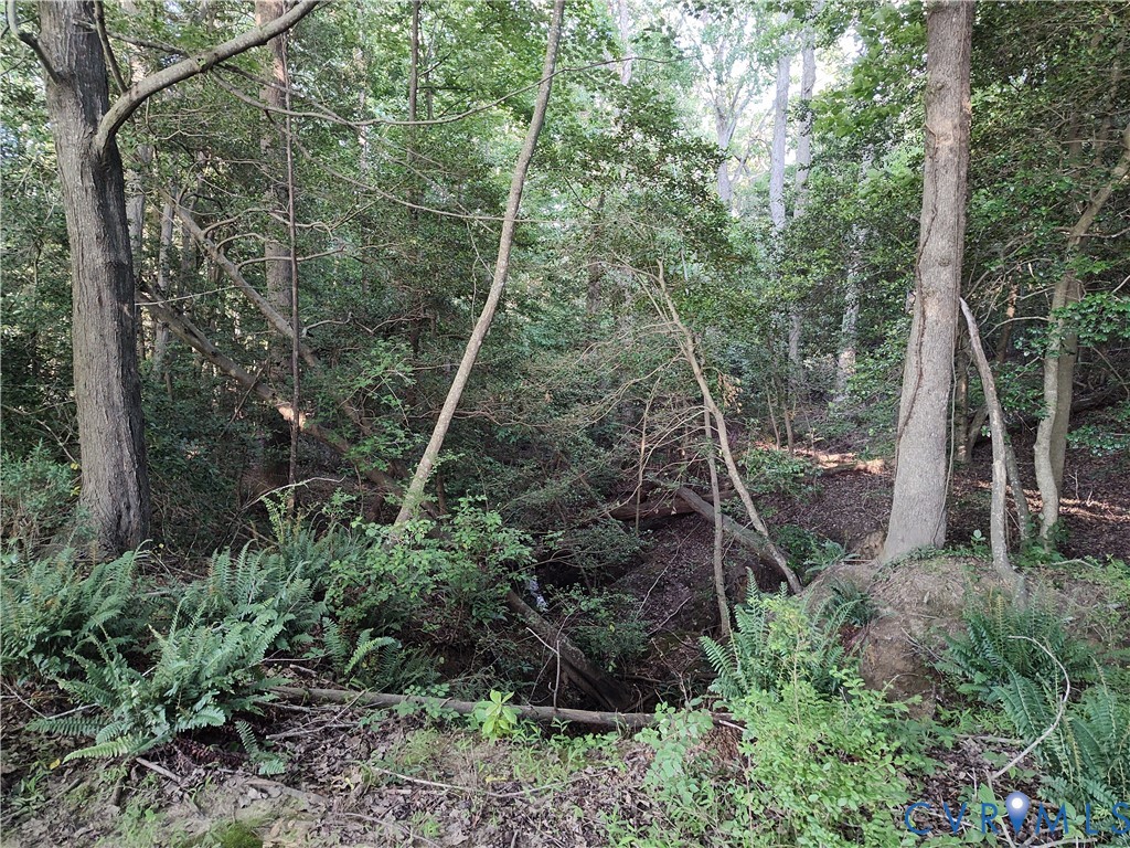 108.5-ac Buzzards Neck Road Lancaster, VA 22503 - Photo 26 of 50