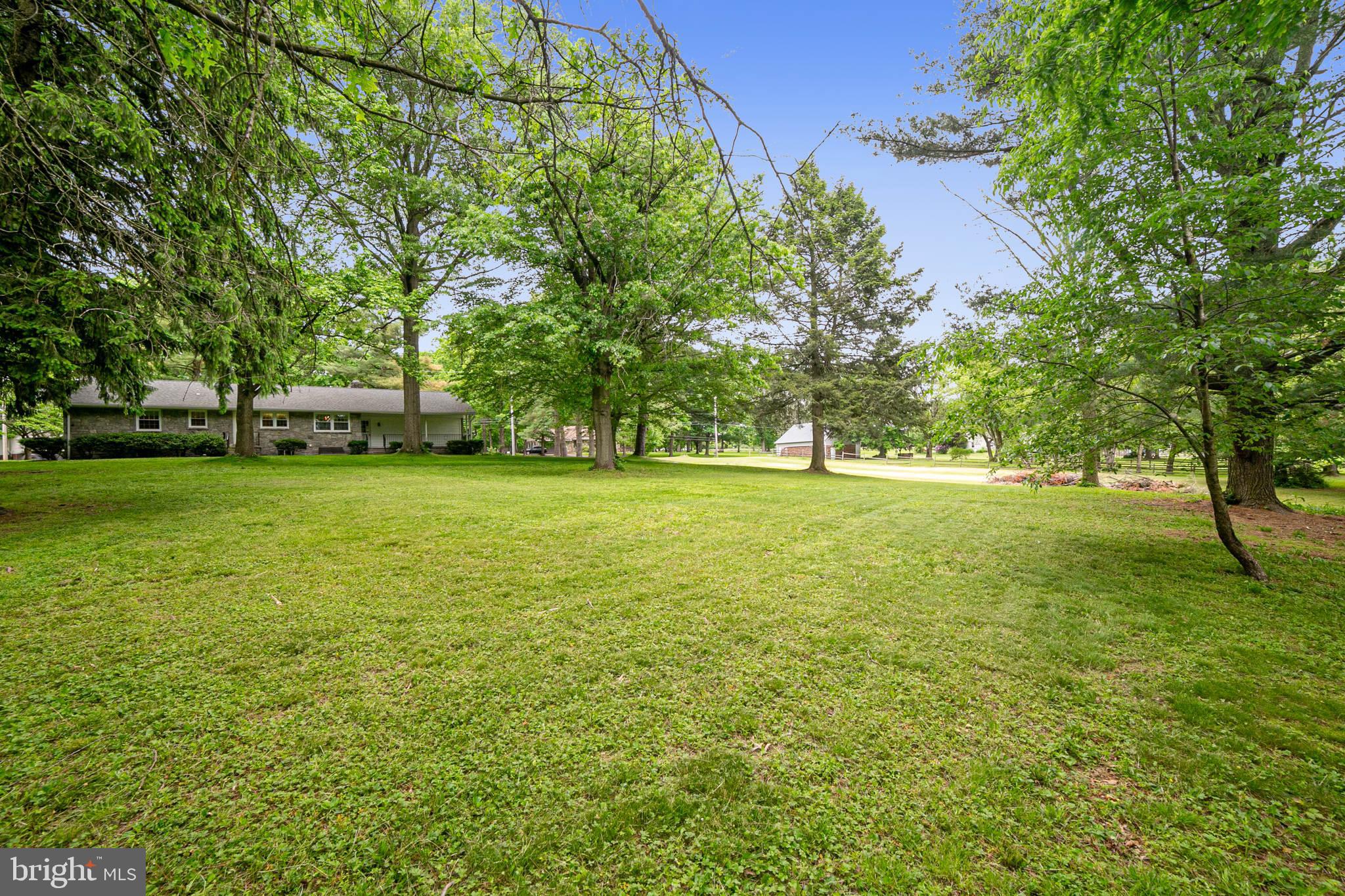 Rear Yard