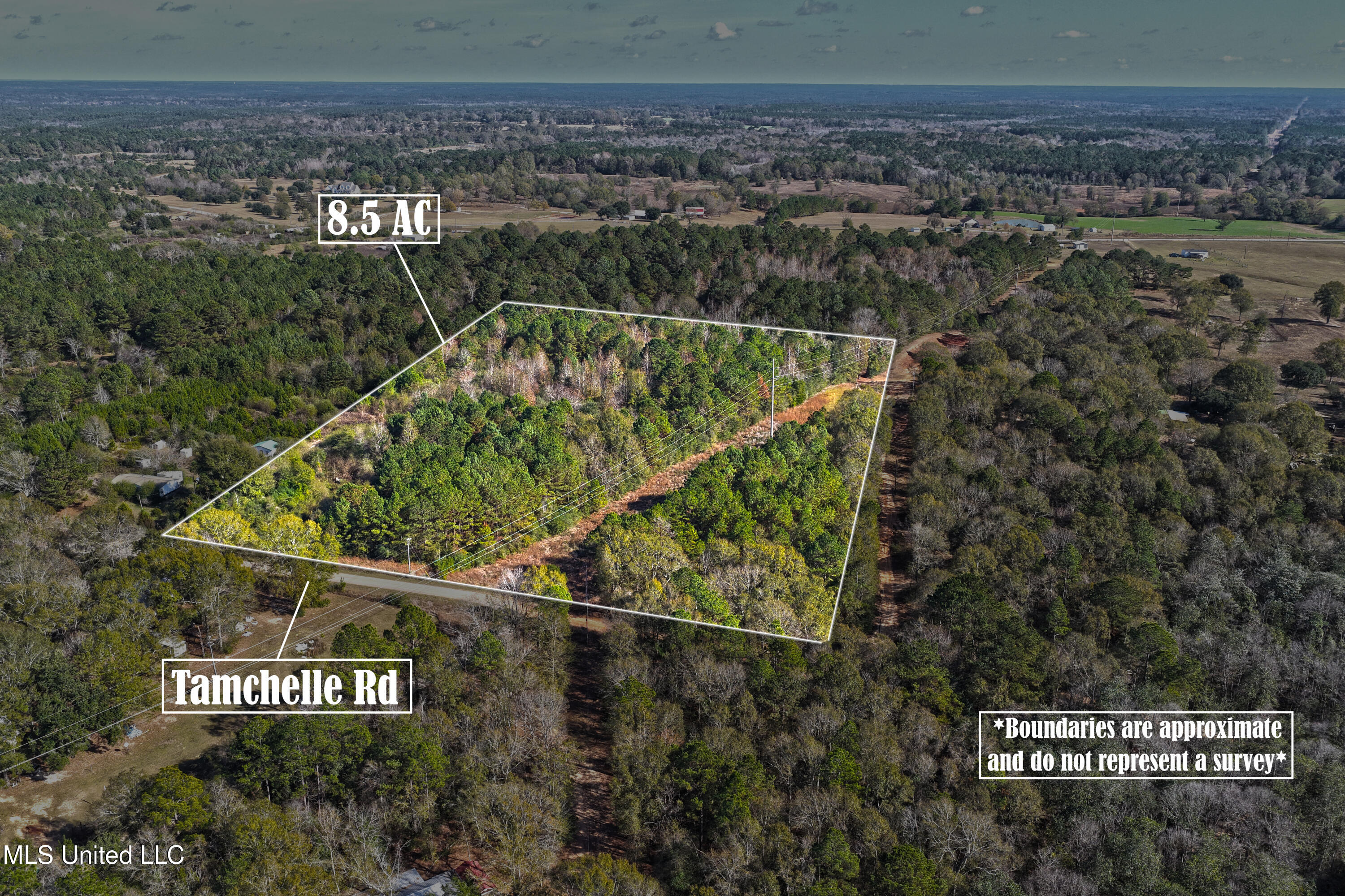 Tamchelle Road Lumberton, MS 39455 - Photo 2 of 24 ACover Photo (1)