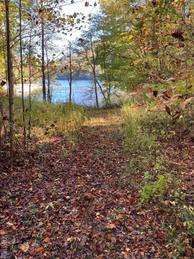0 Old Lodge Road Topton, NC 28781 - Photo 6 of 14