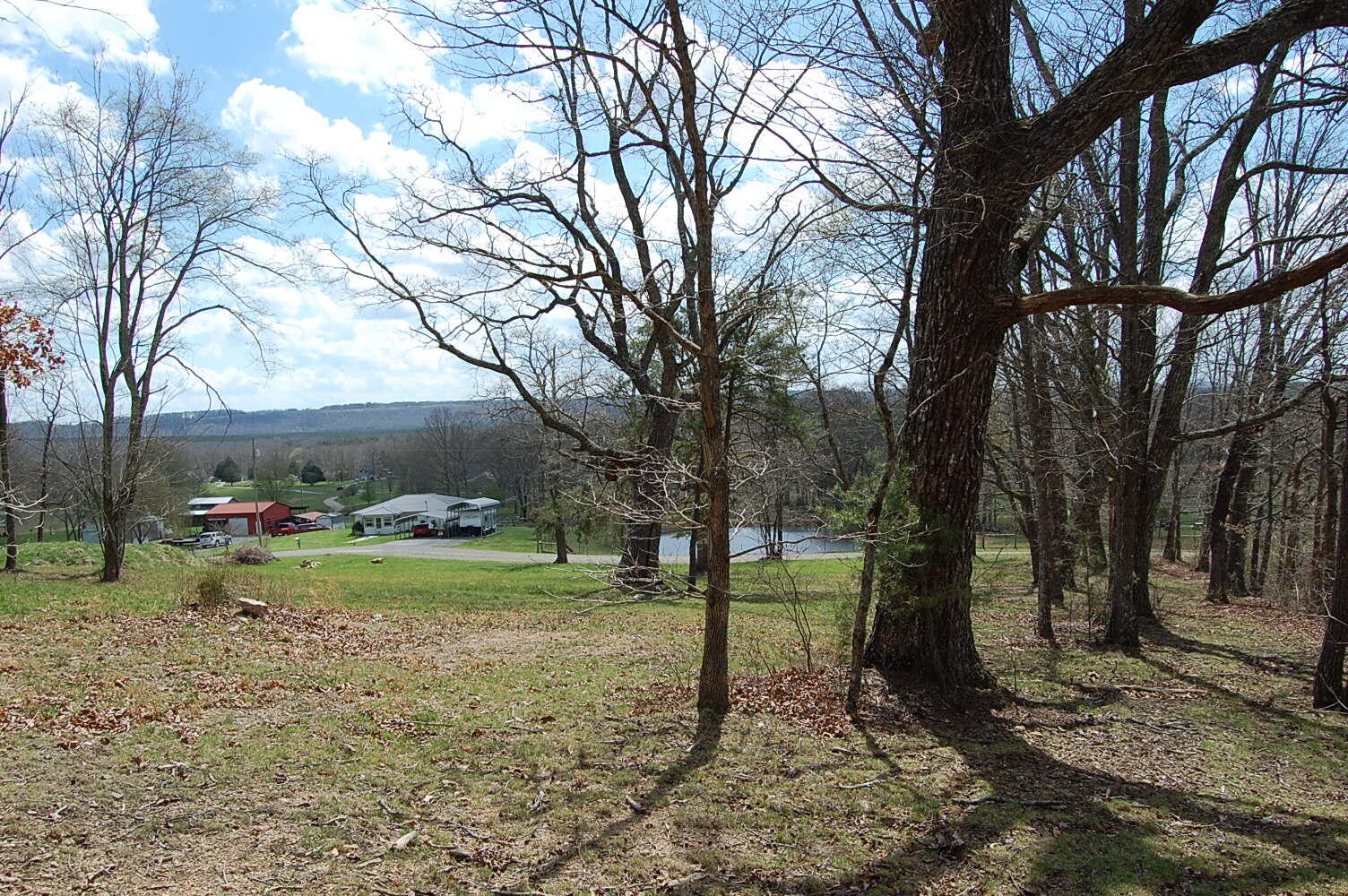 0 Bennie Camp Road Dunlap, TN 37327 - Photo 13 of 32 a view of a garden with trees