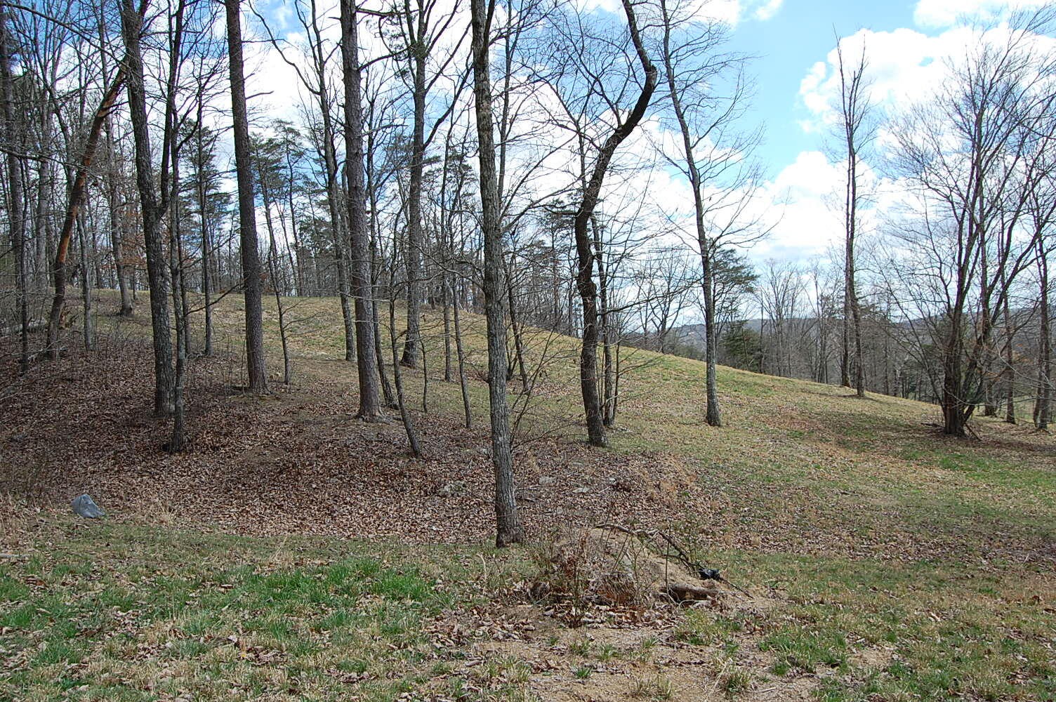 0 Bennie Camp Road Dunlap, TN 37327 - Photo 14 of 32 a view of a yard with trees