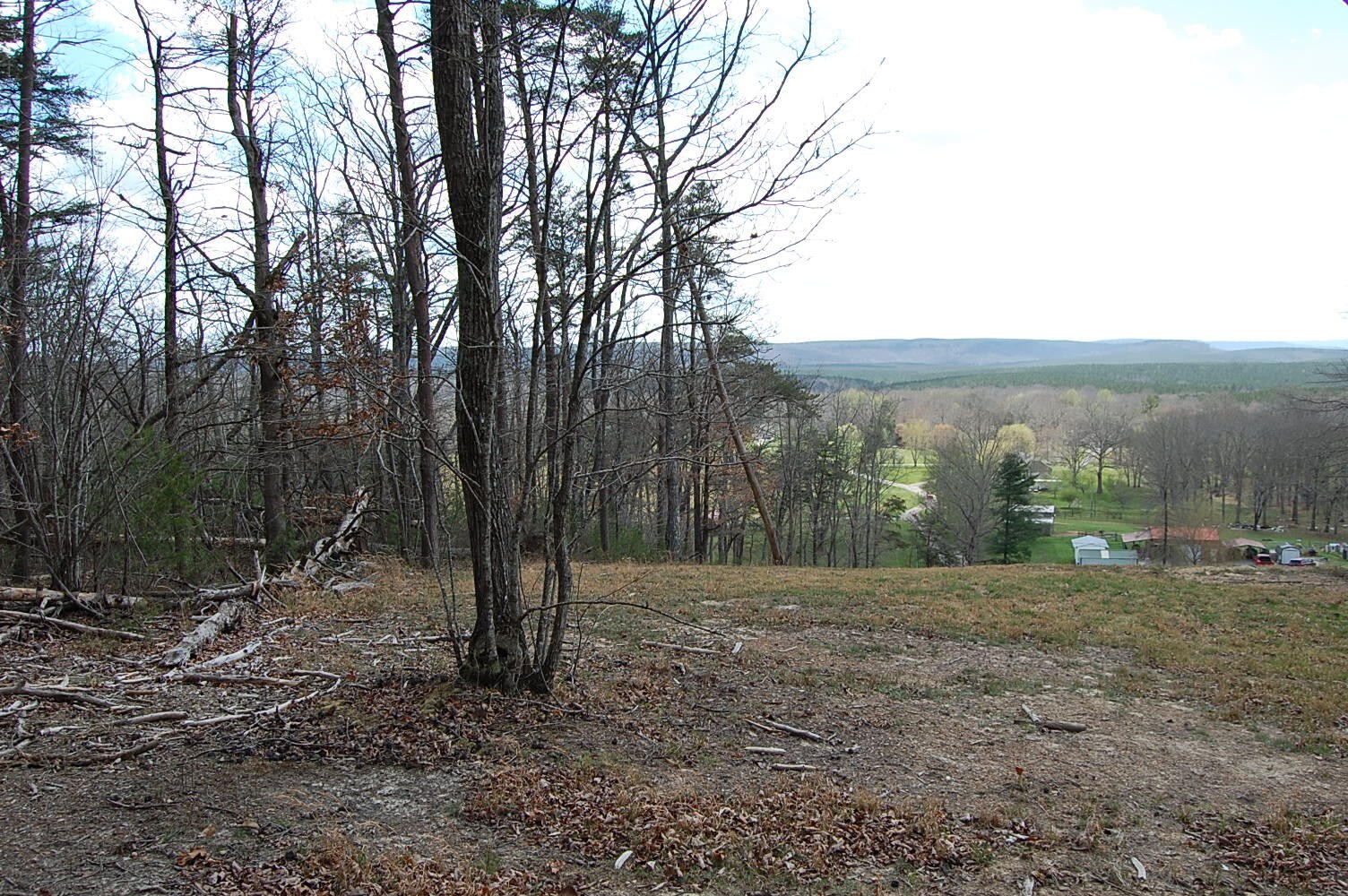 0 Bennie Camp Road Dunlap, TN 37327 - Photo 17 of 32 a view of a field with trees in the background