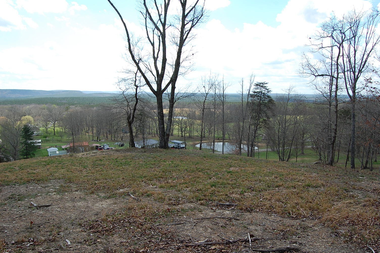 0 Bennie Camp Road Dunlap, TN 37327 - Photo 18 of 32 a view of a field with trees in the background