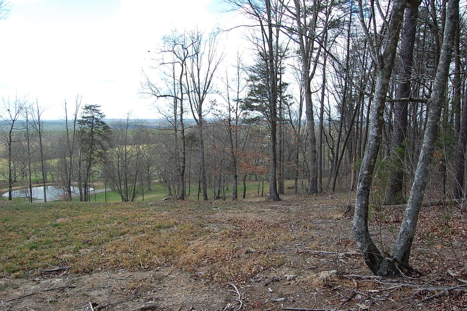 0 Bennie Camp Road Dunlap, TN 37327 - Photo 19 of 32 a view of outdoor space with trees