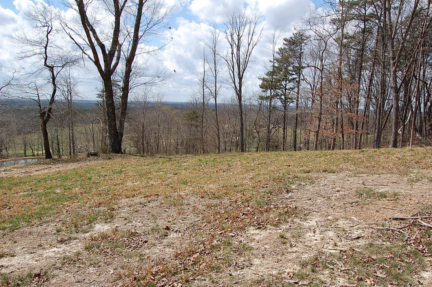 0 Bennie Camp Road Dunlap, TN 37327 - Photo 21 of 32 a house with trees in front of it