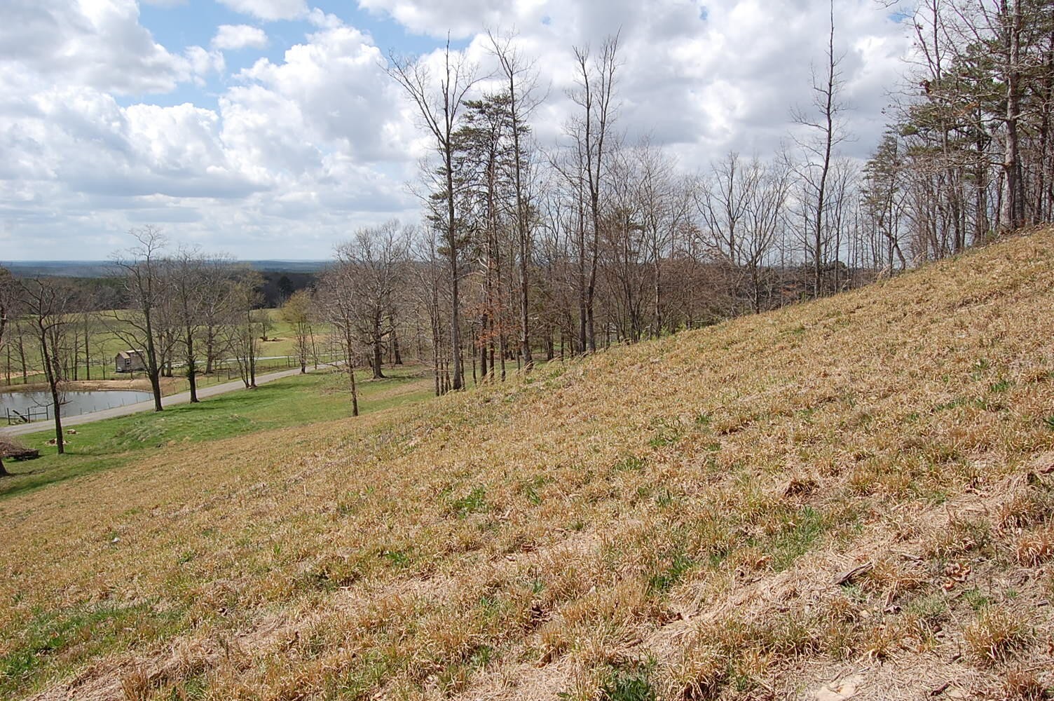 0 Bennie Camp Road Dunlap, TN 37327 - Photo 27 of 32 a view of a yard with wooden fence