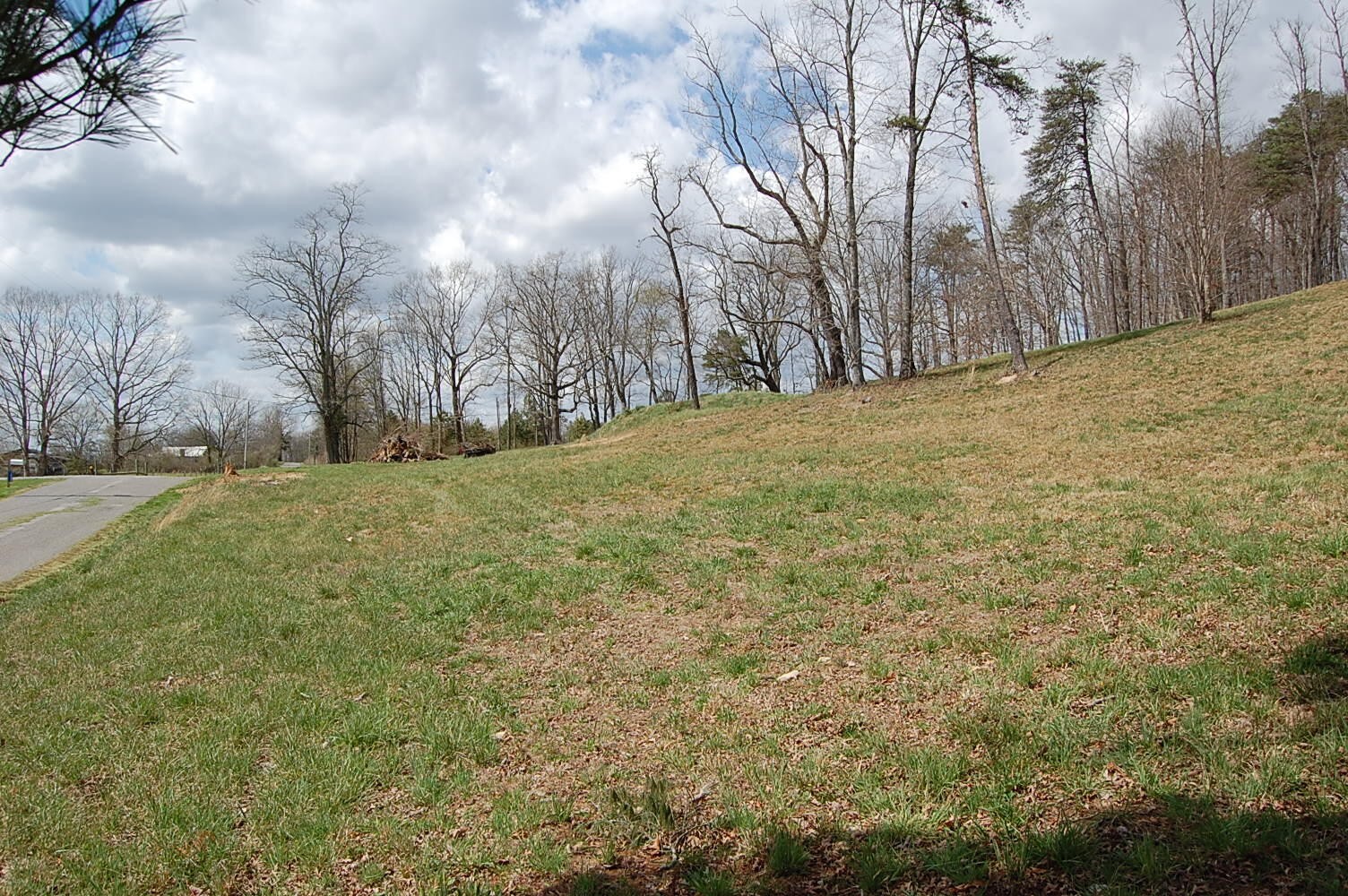 0 Bennie Camp Road Dunlap, TN 37327 - Photo 30 of 32 a view of large yard with large trees