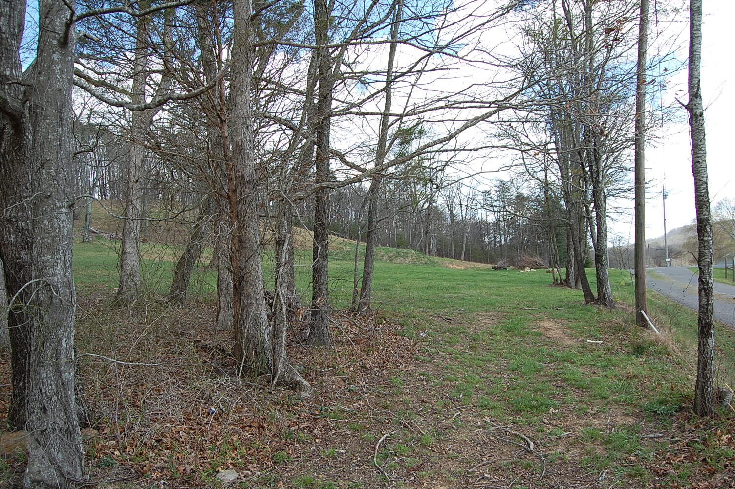 0 Bennie Camp Road Dunlap, TN 37327 - Photo 7 of 32 a view of a garden with trees