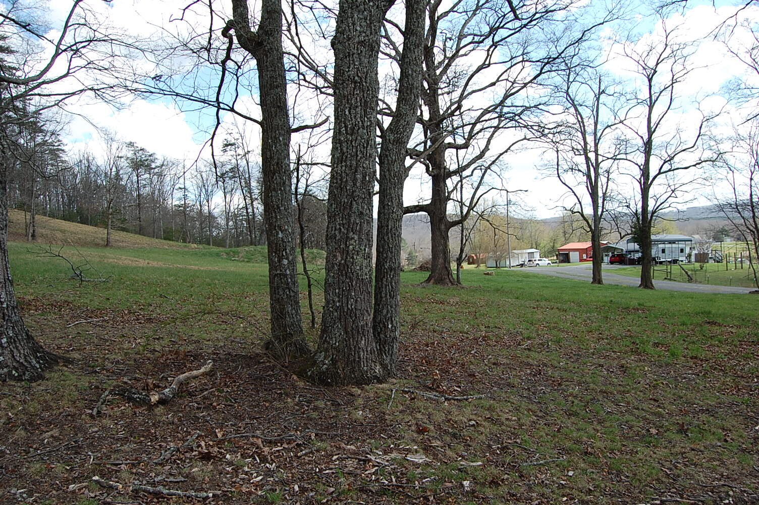 0 Bennie Camp Road Dunlap, TN 37327 - Photo 10 of 32 a view of a park with tree s