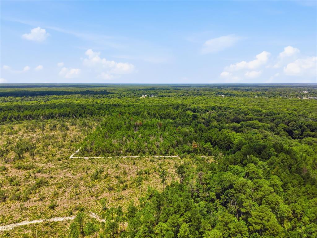 2140 St Johns River Road Astor, FL 32102 - Photo 25 of 36 a view of an ocean
