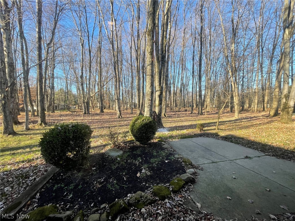 17100 Ridge Creek Road Strongsville, OH 44136 - Photo 19 of 20 Gallery Image 19