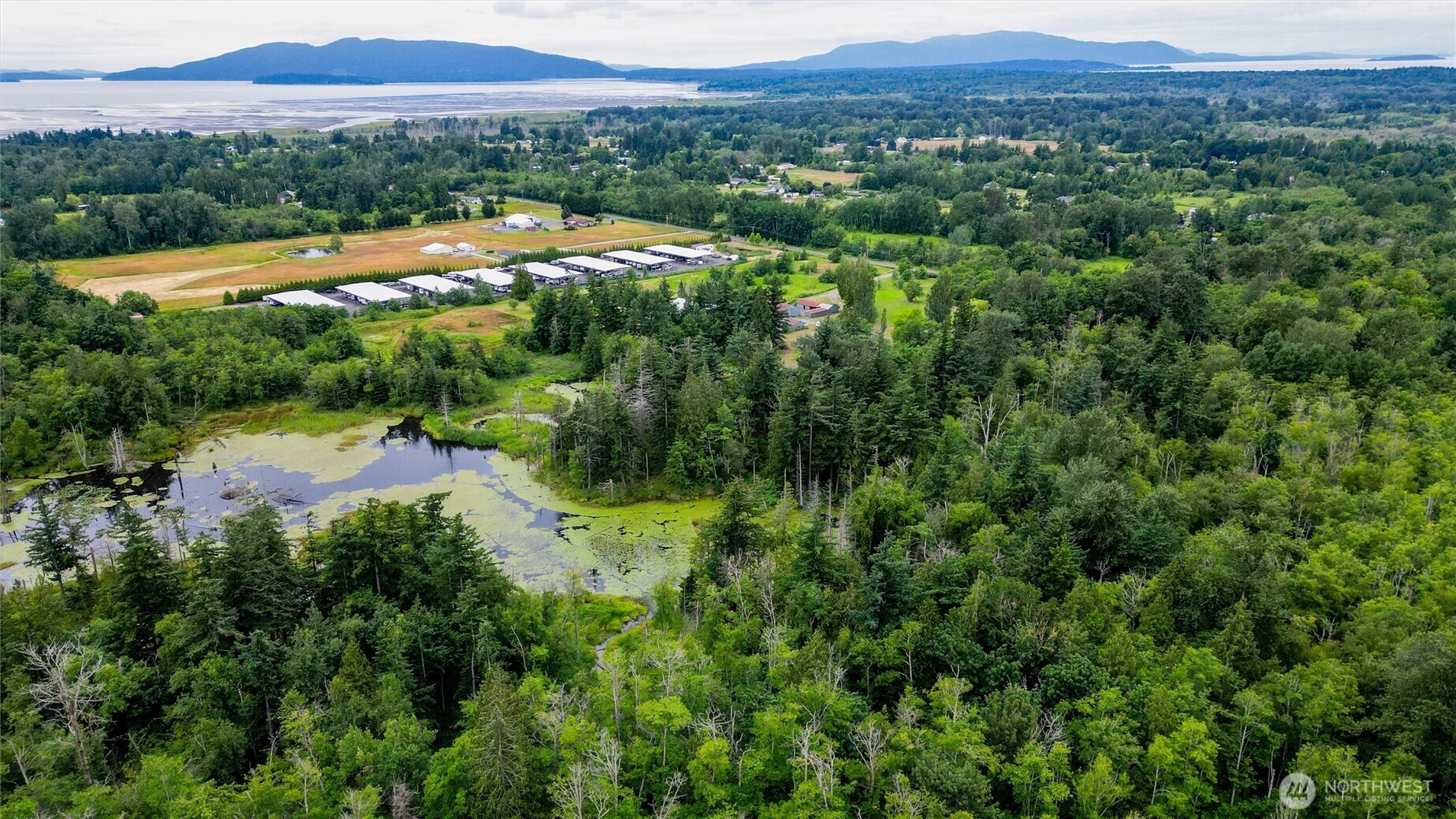 4256 Curtis Road Bellingham, WA 98226 - Photo 7 of 23
