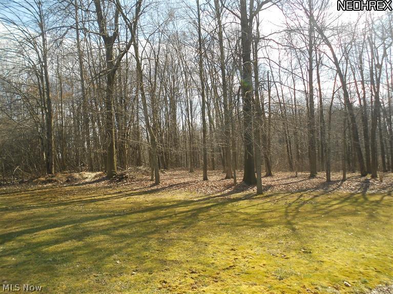 5861 Horning Road Kent, OH 44240 - Photo 20 of 20 Gallery Image 20