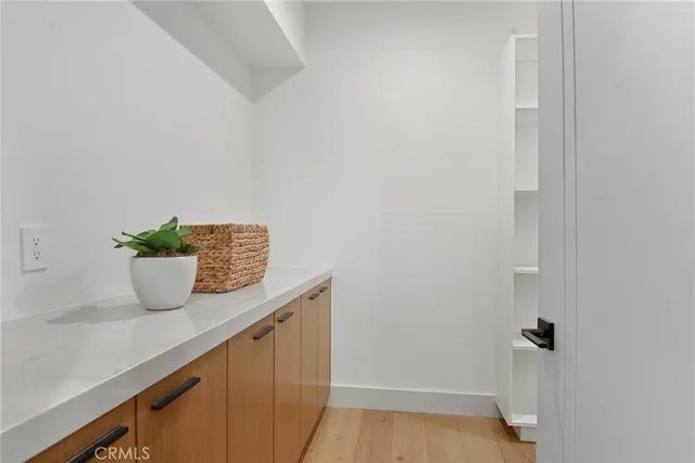 a bathroom with a potted plant
