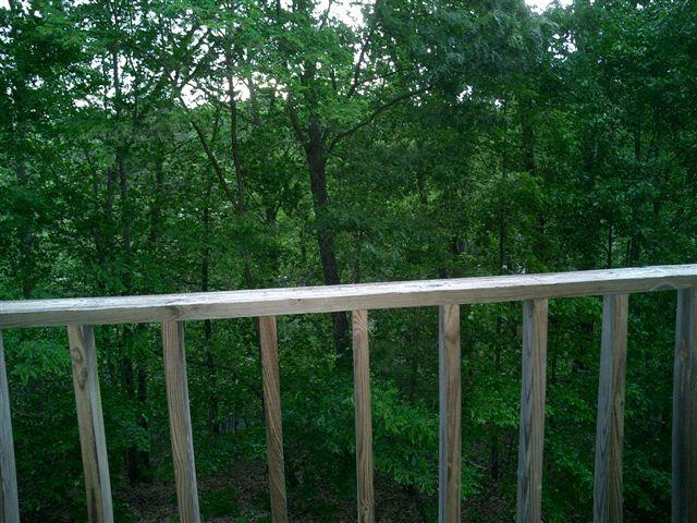 3335 Forest Ridge Road Roanoke, VA 24018 - Photo 11 of 22 a porch with a yard