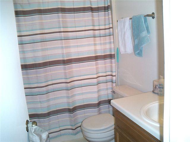 3335 Forest Ridge Road Roanoke, VA 24018 - Photo 13 of 22 a bathroom with a sink toilet and shower