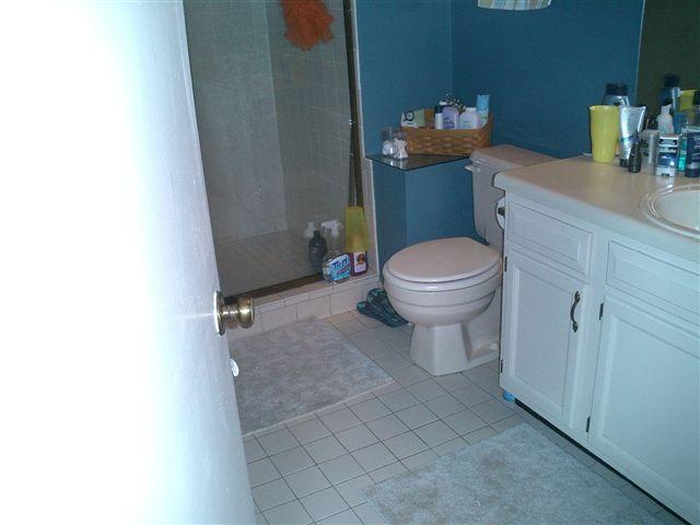 3335 Forest Ridge Road Roanoke, VA 24018 - Photo 14 of 22 a bathroom with a sink and a toilet