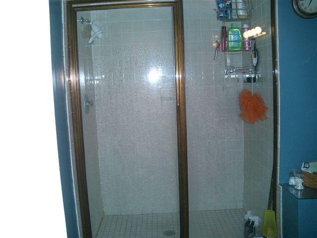3335 Forest Ridge Road Roanoke, VA 24018 - Photo 15 of 22 a bathroom with a shower
