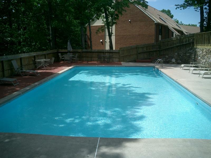 3335 Forest Ridge Road Roanoke, VA 24018 - Photo 17 of 22 a backyard of a house with lots of green space