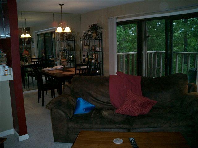 3335 Forest Ridge Road Roanoke, VA 24018 - Photo 3 of 22 a view of a dining room with furniture window and outside view