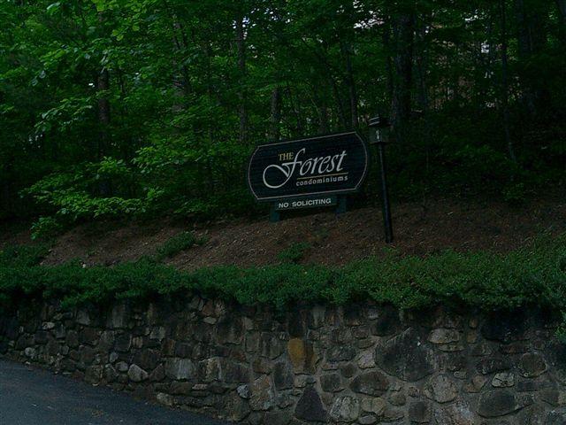 3335 Forest Ridge Road Roanoke, VA 24018 - Photo 22 of 22 a blue sign that is sitting in the middle of a forest