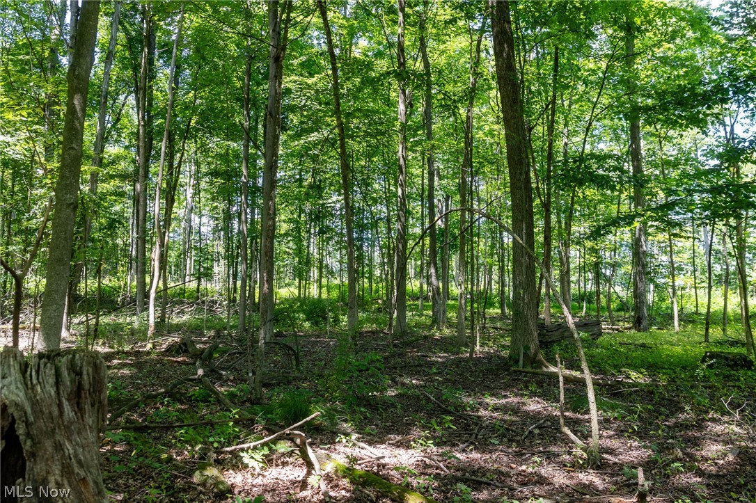Wayland Road Diamond, OH 44412 - Photo 12 of 20