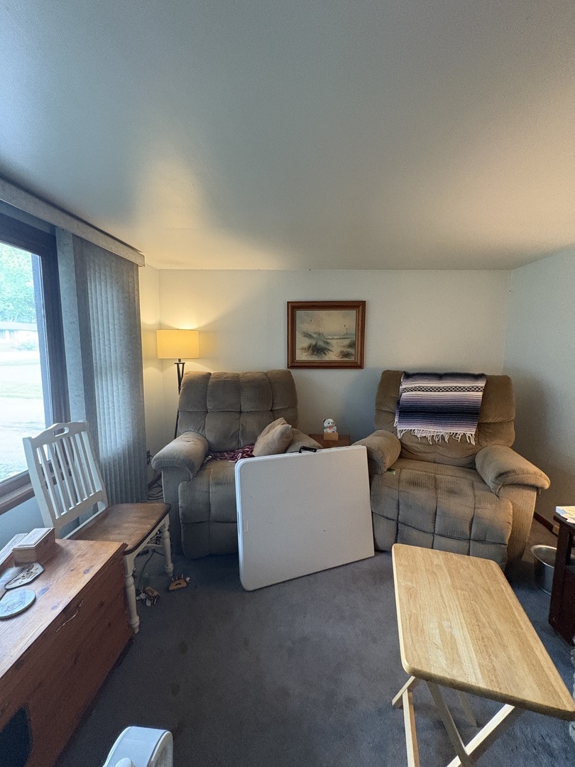 843 West Windsor Avenue Crete, IL 60417 - Photo 2 of 10