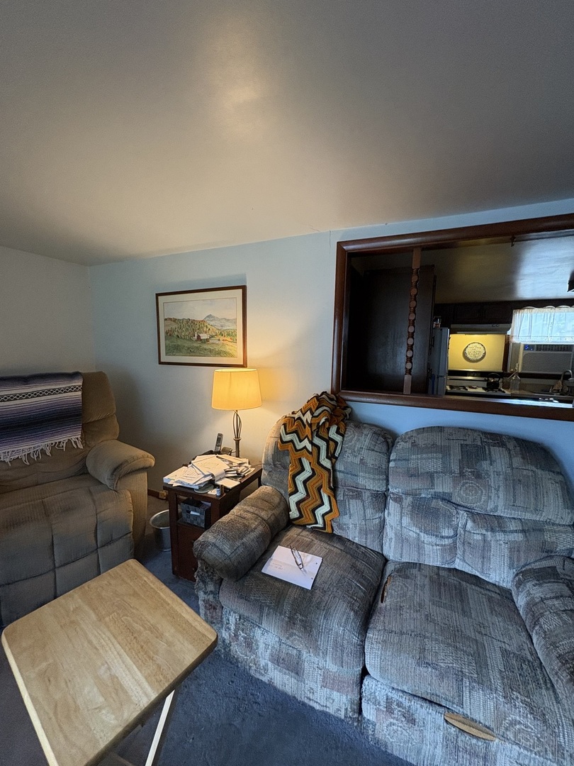 843 West Windsor Avenue Crete, IL 60417 - Photo 3 of 10