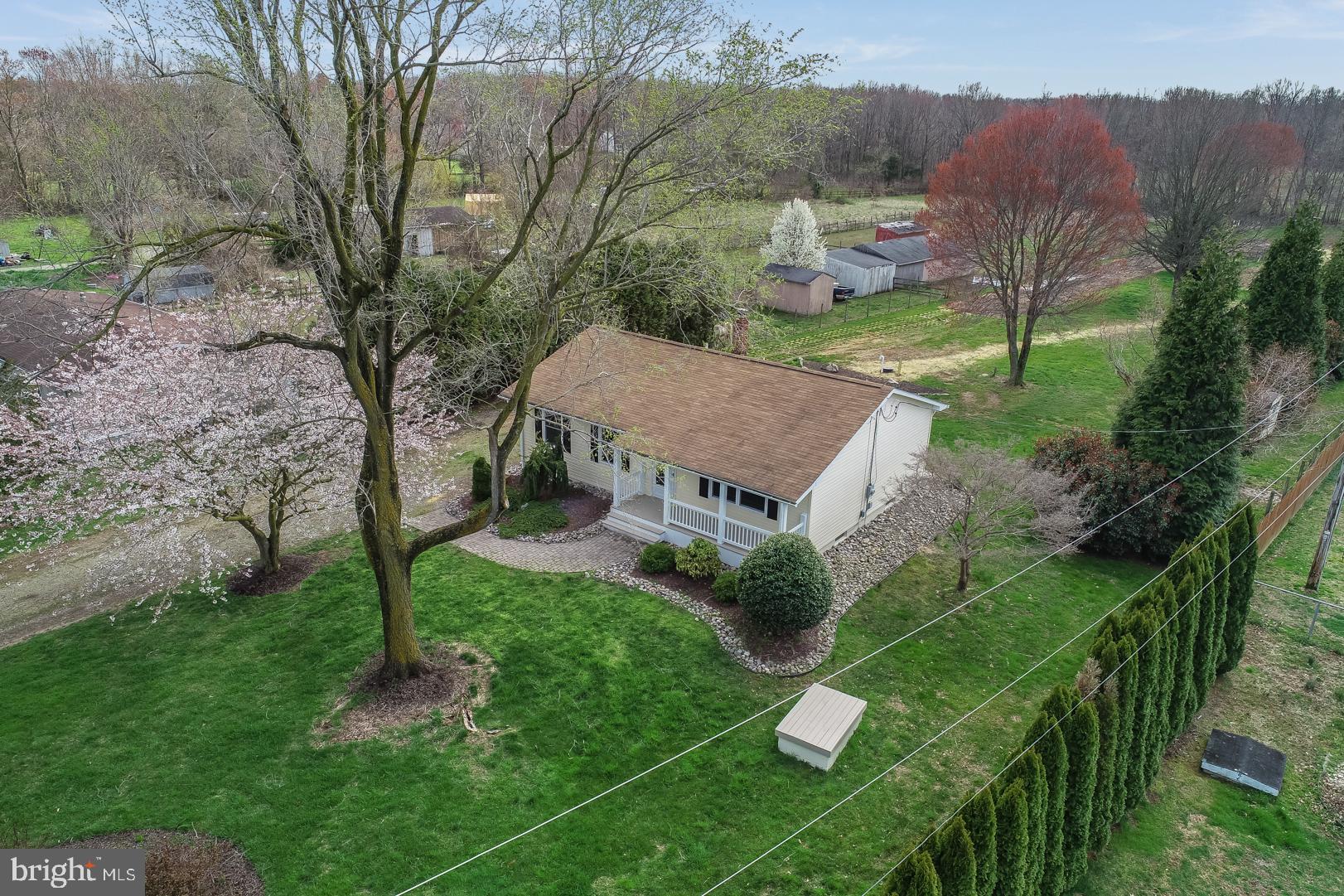 Front Aerial w/ Cherry Blossom in bloom