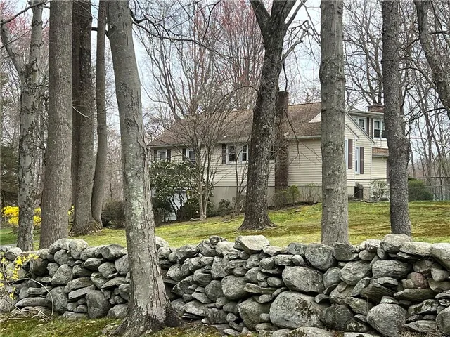 a view of a yard with plants and trees