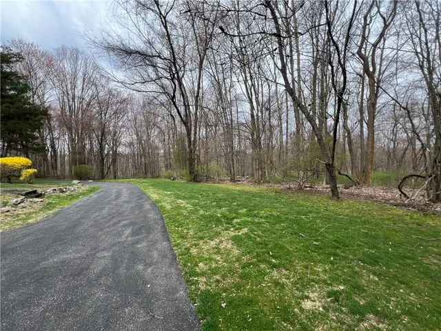 a view of a park with large trees
