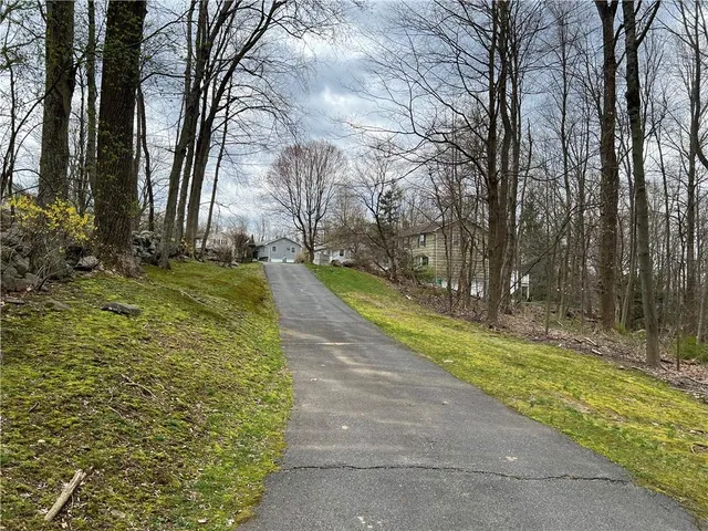 a view of a yard with large trees