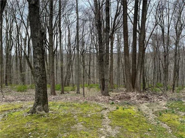 a backyard of a house with lots of trees