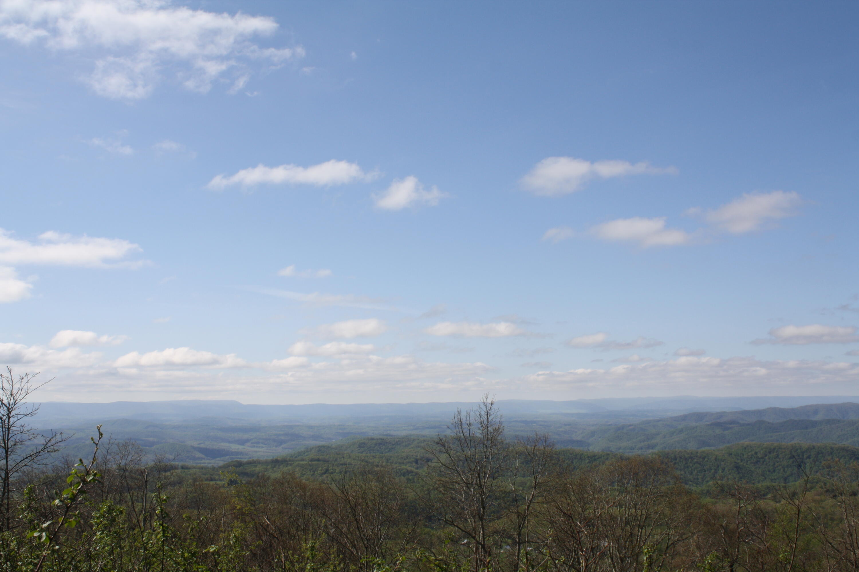1161 Plumley Mountain Road Sandstone, WV 25985 - Photo 82 of 138 Gallery Image 82