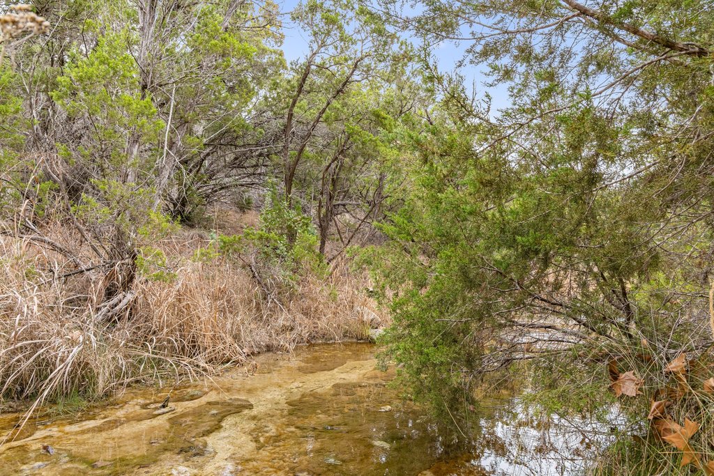 5408 Spring Preserve Trail Bee Cave, TX 78738 - Photo 11 of 40 View of tree filled area and creek