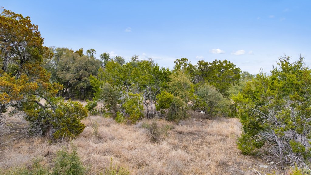 5408 Spring Preserve Trail Bee Cave, TX 78738 - Photo 17 of 40 View of undeveloped land