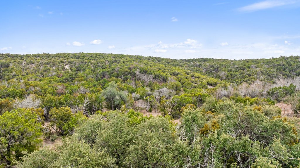 5408 Spring Preserve Trail Bee Cave, TX 78738 - Photo 19 of 40 a view of a big yard with lots of bushes